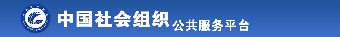 插婊子视频全国社会组织信息查询